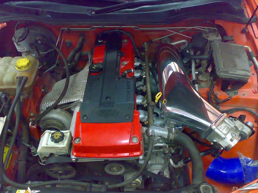 31012008495.jpg