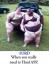 post-4957-1147054898_thumb.jpg